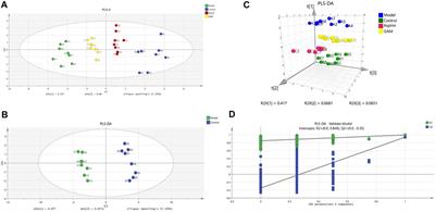 Serum Metabolomics Analysis of the Anti-Inflammatory Effects of Gallic Acid on Rats With Acute Inflammation